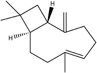 One-Step Purification of Microbially Produced Hydrophobic Terpenes via Process Chromatography